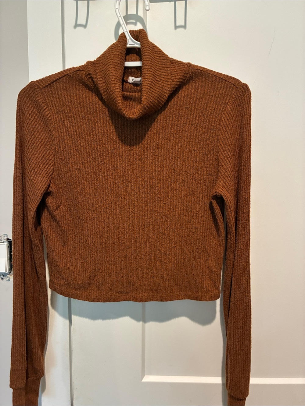 Garage Rust Ribbed Cropped Turtleneck Sweater B18